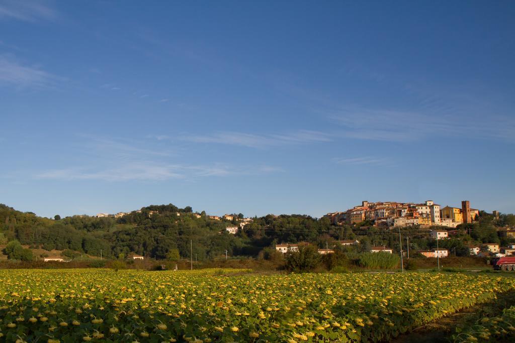 B&B Il Ramaiolo Santa Maria a Monte Eksteriør bilde